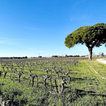 Les Appartements Du Mas - Emeraude Aigues-Mortes Ngoại thất bức ảnh